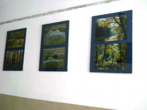 galeria E barwy jesieni 030